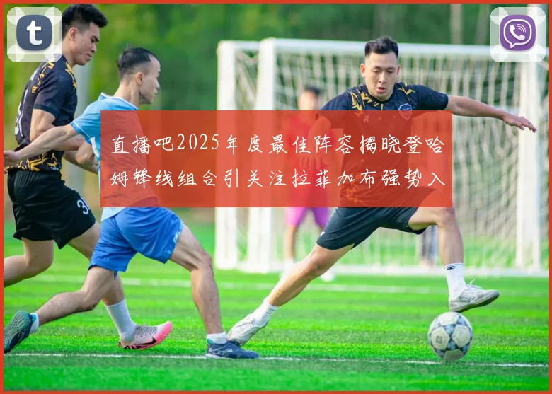 直播吧2025年度最佳阵容揭晓登哈姆锋线组合引关注拉菲加布强势入选